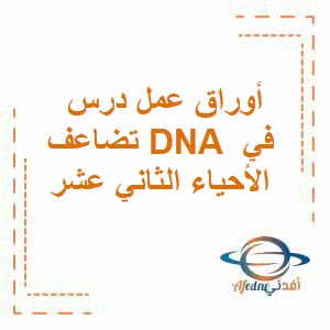 أوراق عمل درس تضاعف DNA في الأحياء الثاني عشر الفصل الأول منهج عمان