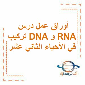 أوراق عمل درس تركيب DNA وRNA في الأحياء الثاني عشر الفصل الأول عمان