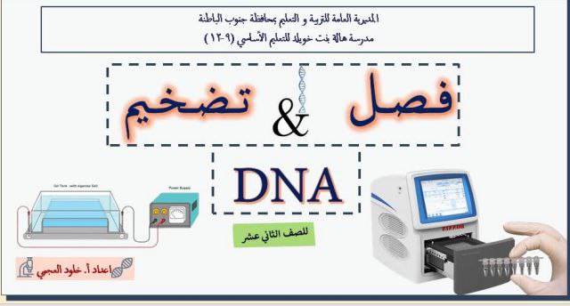 ملخص درس فصل وتضخيم DNA مادة الأحياء للثاني عشر فصل أول عمان
