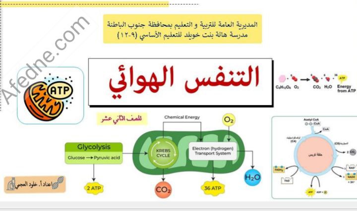 ملخص درس التنفس الهوائي أحياء الثاني عشر فصل ثاني عمان