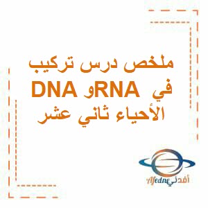 ملخص درس تركيب DNA وRNA في الأحياء ثاني عشر فصل أول عمان