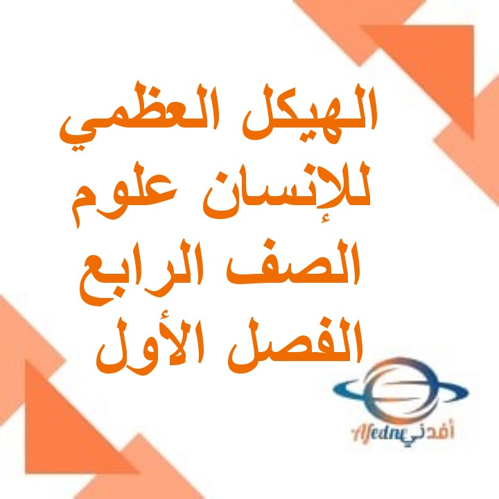 ملخص درس الهيكل العظمي للإنسان علوم للصف الرابع الفصل الأول