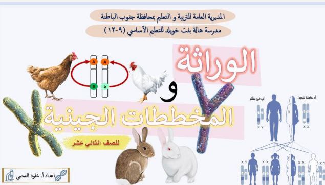 ملخص درس الوراثة والمخططات الجينية أحياء الثاني عشر فصل أول عمان
