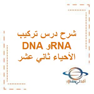 شرح درس تركيب DNA وRNA الأحياء ثاني عشر الفصل الأول عمان