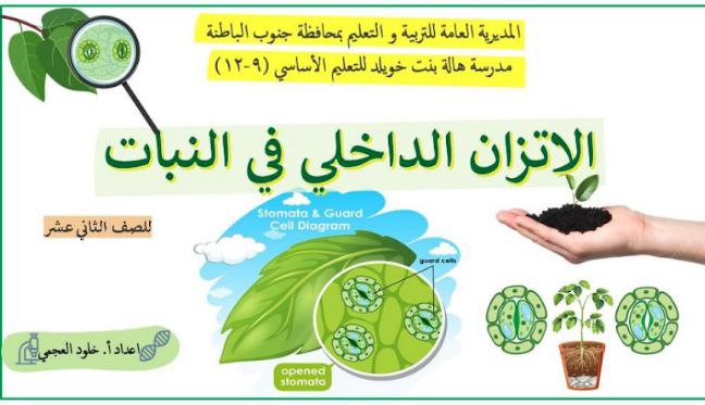 ملخص درس الاتزان الداخلي في النباتات أحياء الثاني عشر فصل أول عمان