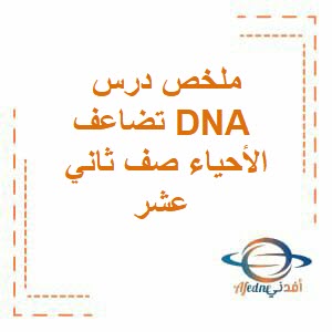 ملخص درس تضاعف DNA الأحياء صف ثاني عشر الفصل الأول عمان