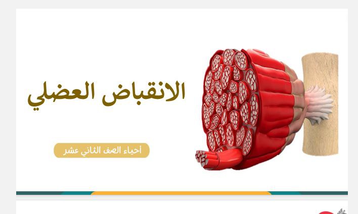ملخص درس الانقباض العضلي أحياء الثاني عشر فصل أول منهج عمان