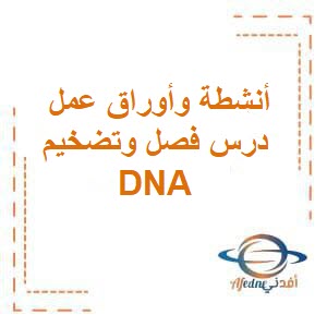 أنشطة وأوراق عمل درس فصل وتضخيم DNA أحياء الثاني عشر فصل أول عمان